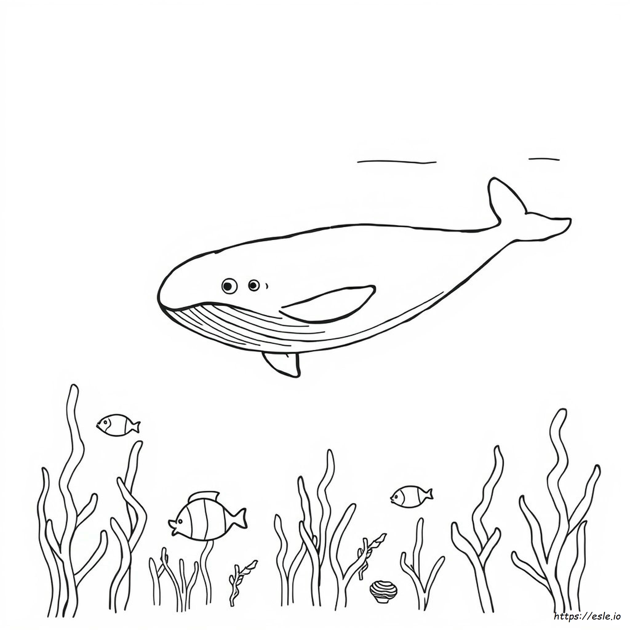 Ballena Para Colorear - Imprimible Gratis Para Niños