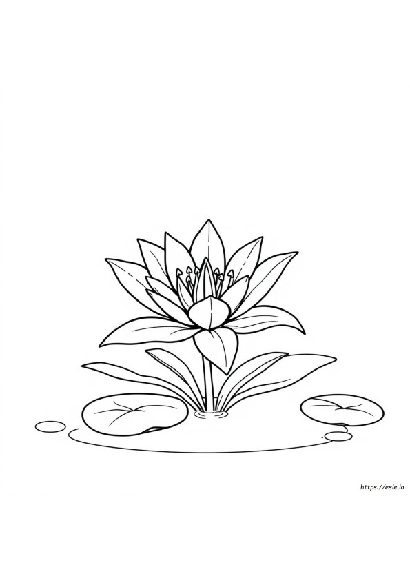 Coloriages De Lys À Imprimer