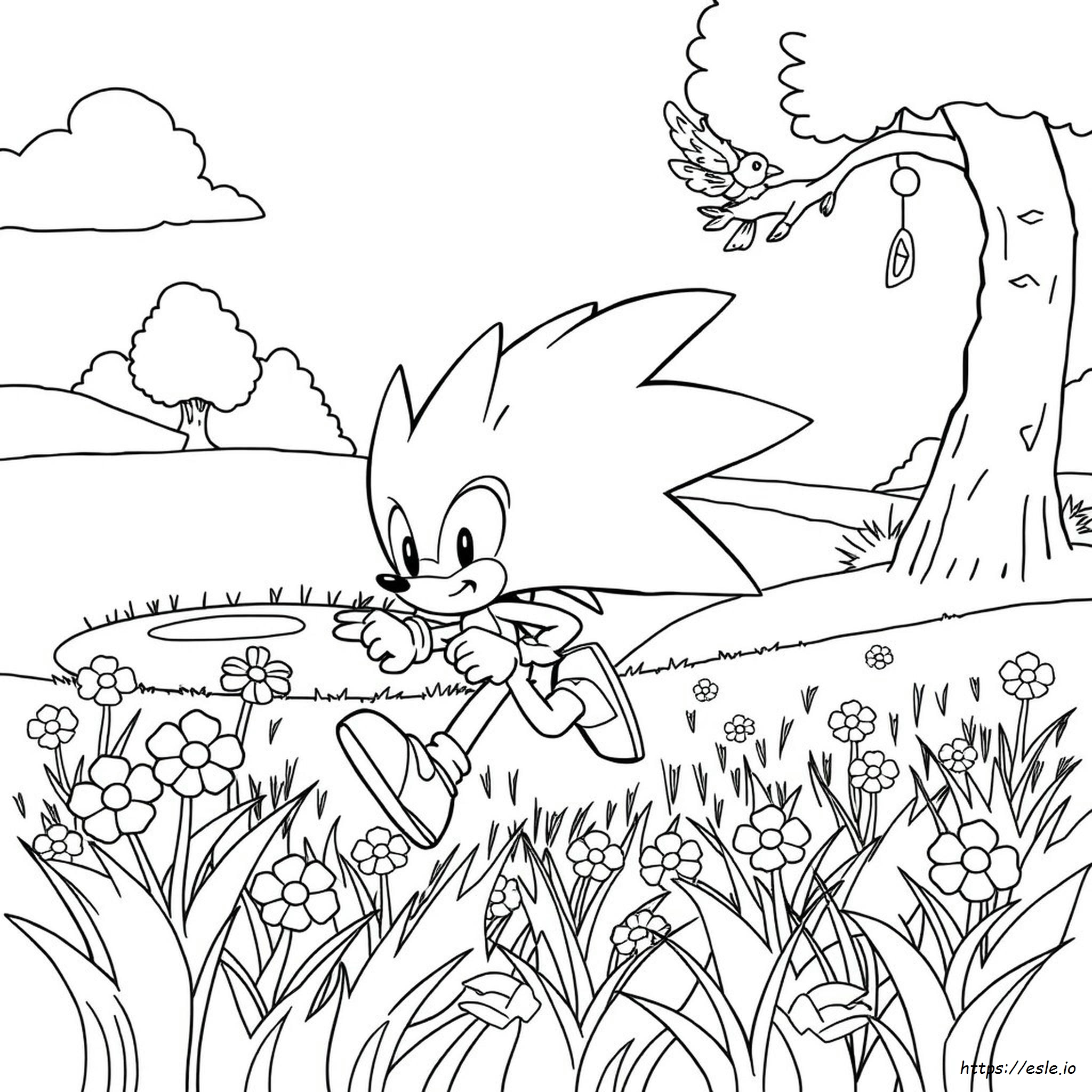 Sonic Channel Coloring Page - Free Printable PDF for Kids