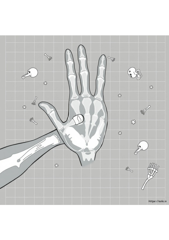 X Ray Coloring Picture