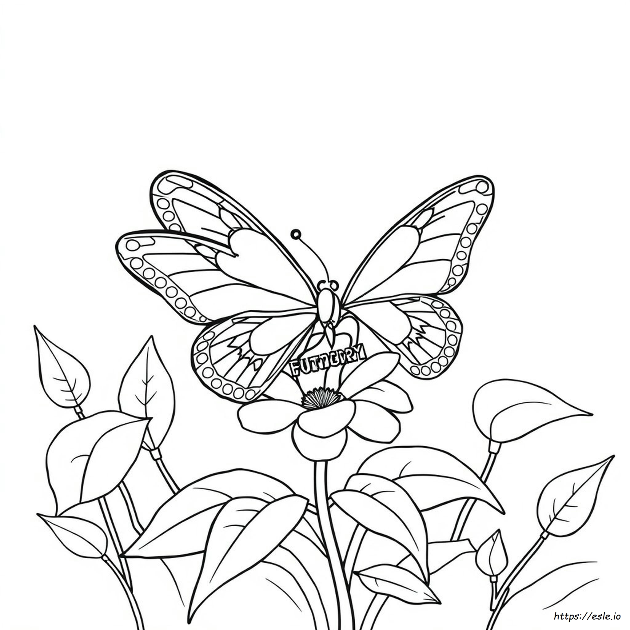 Detailed Butterfly Coloring Pages