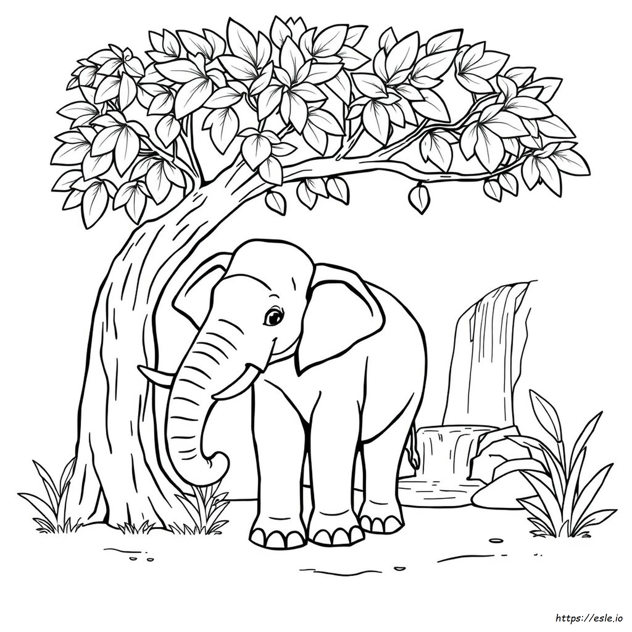 Indian Elephant Coloring Page for Kids