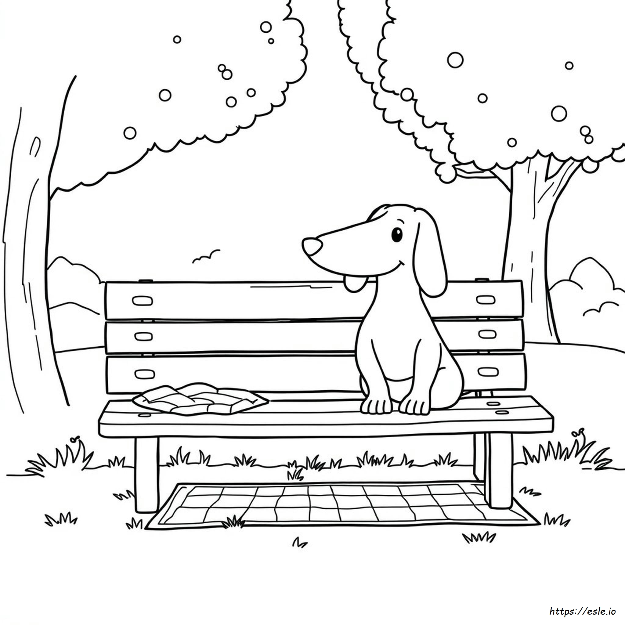 Sausage Dog Colouring Sheet