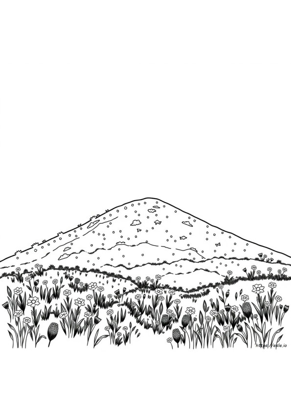 Hill Coloring