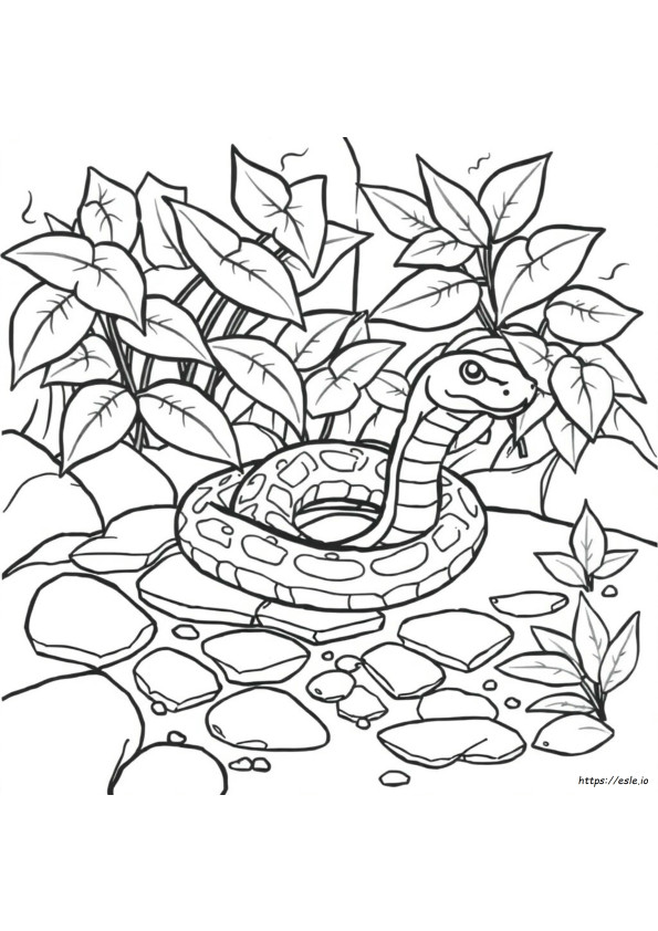 Snake Coloring Images