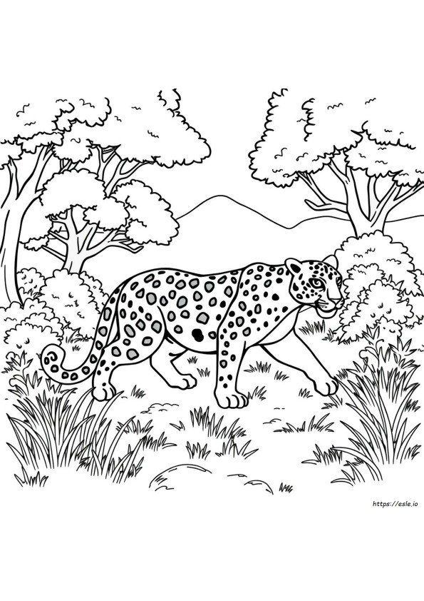Jaguar Malbuch