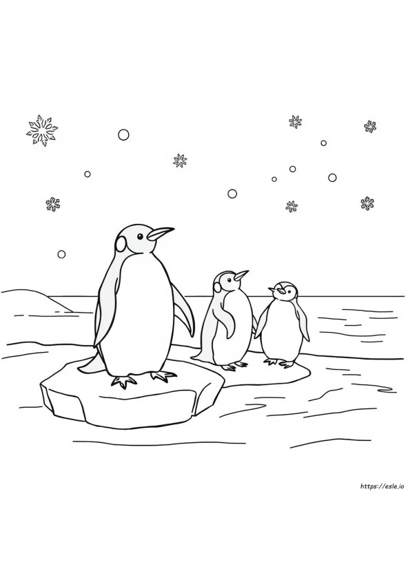 Pinguino Da Colorare