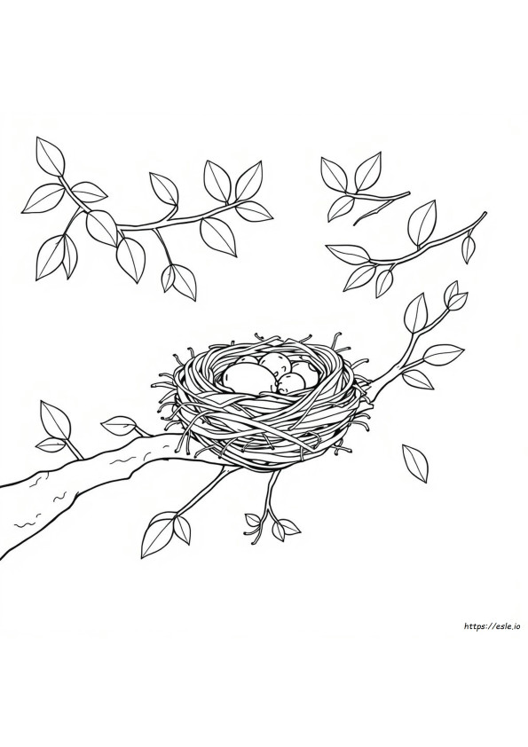 Coloriage De Nid