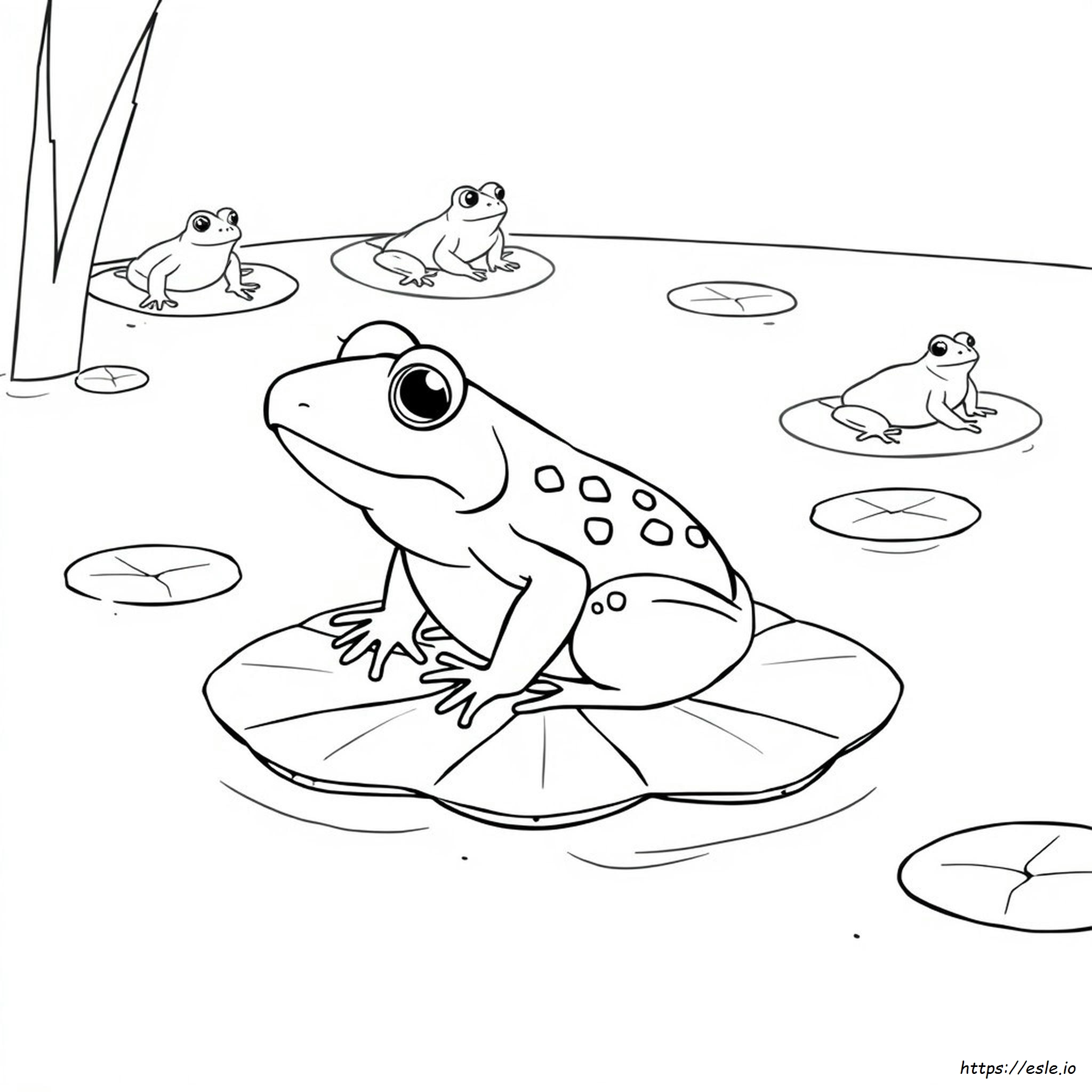 Toad Coloring Page - Free Printable Animal