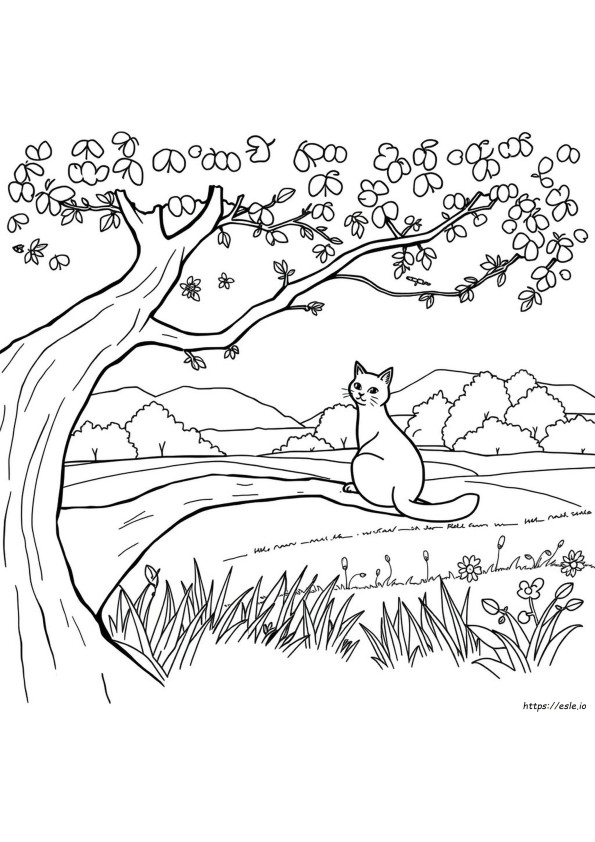 Gato Preto E Branco Para Colorir