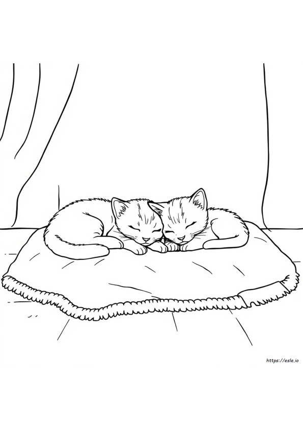 How Do Kittens Get Their Color