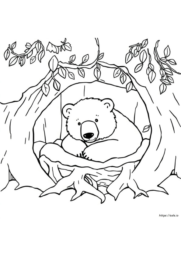 Hibernating Bear Coloring Page