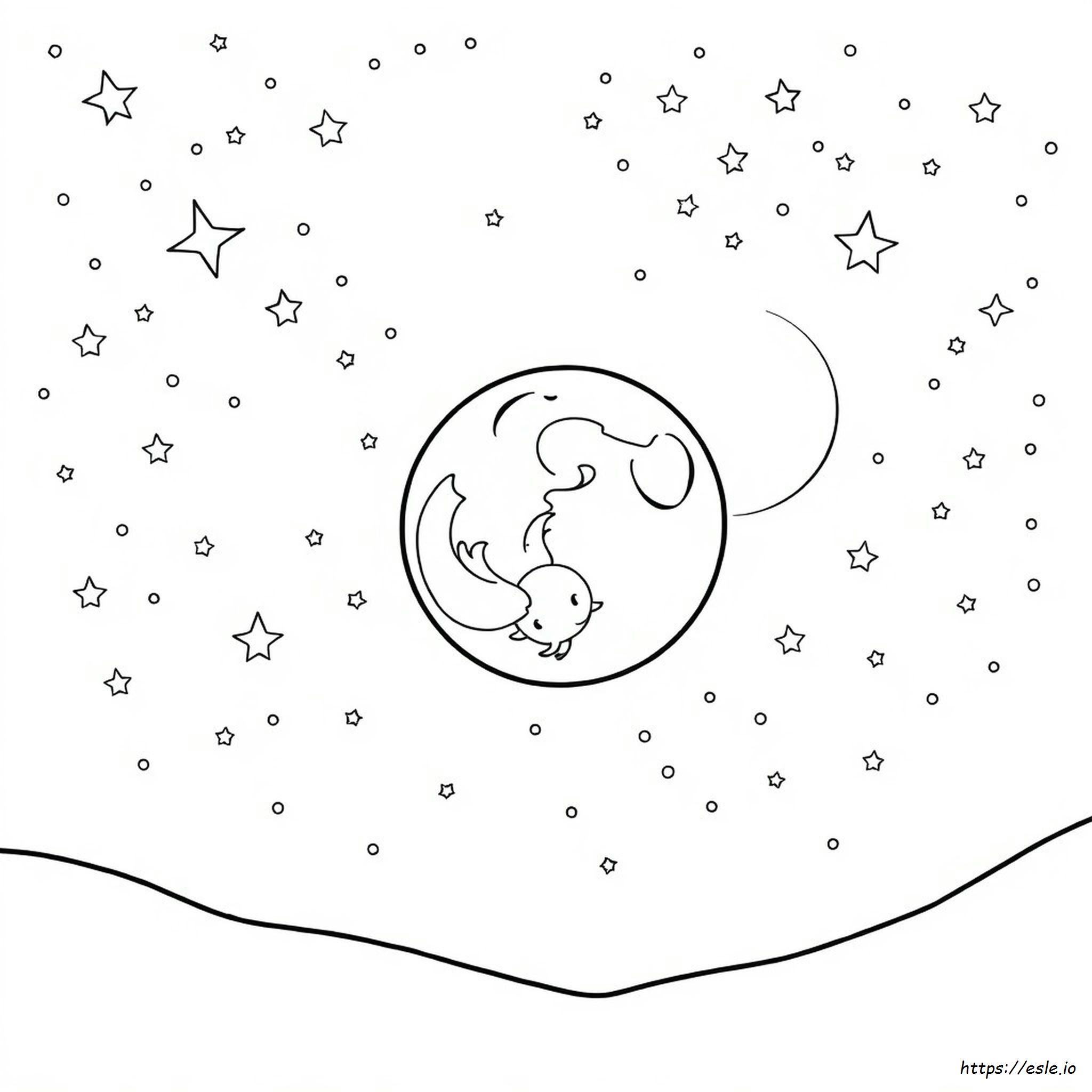 Coloriage Ciel Nocturne