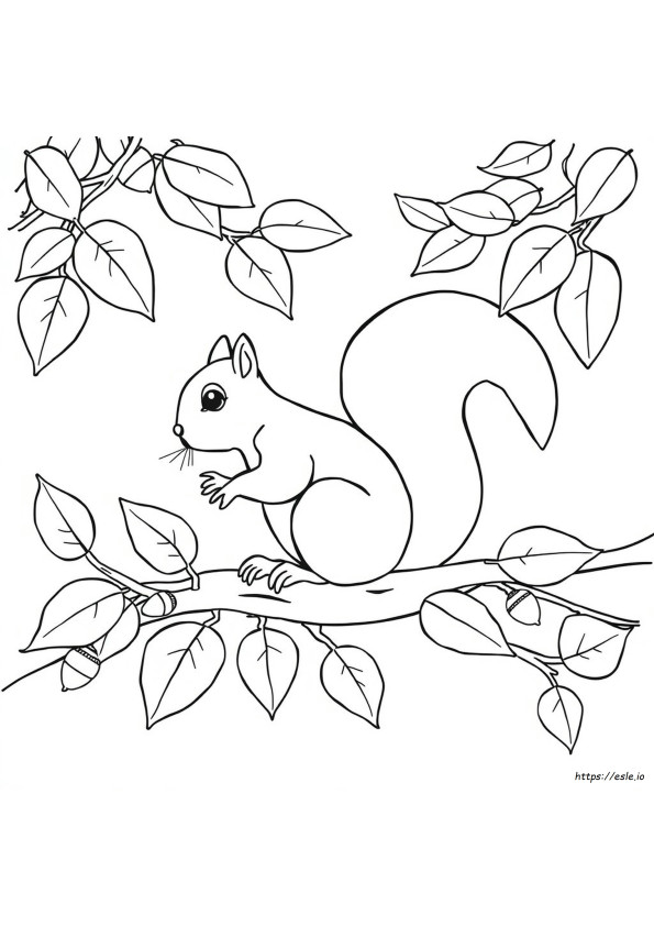 Orava Värityskuvat