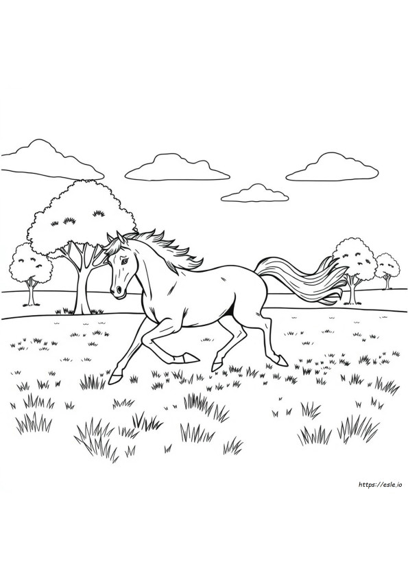 Cavallo Stallone Da Colorare
