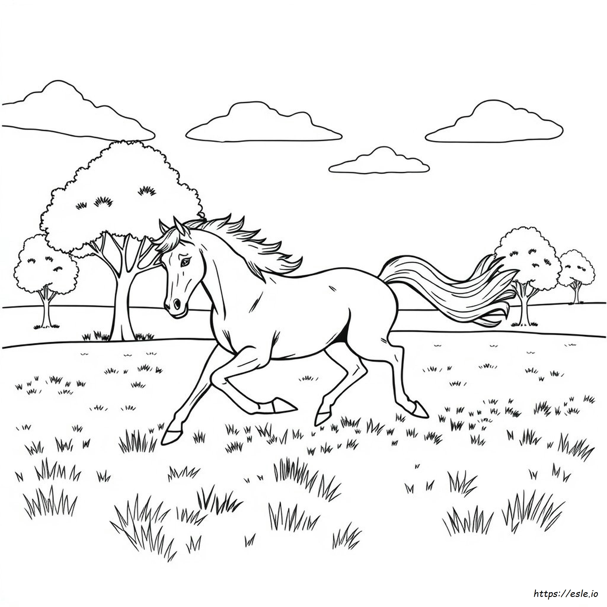 Stallion Horse Coloring Page