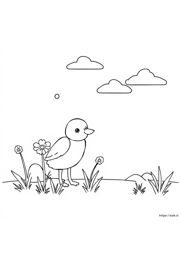 How To Turn Any Image Into A Coloring Page