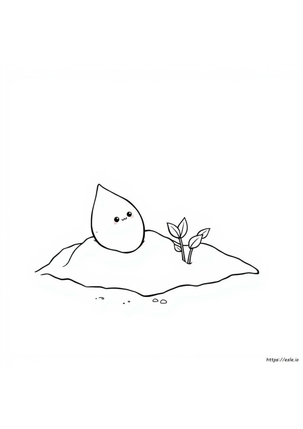 The Tiny Seed Coloring Page