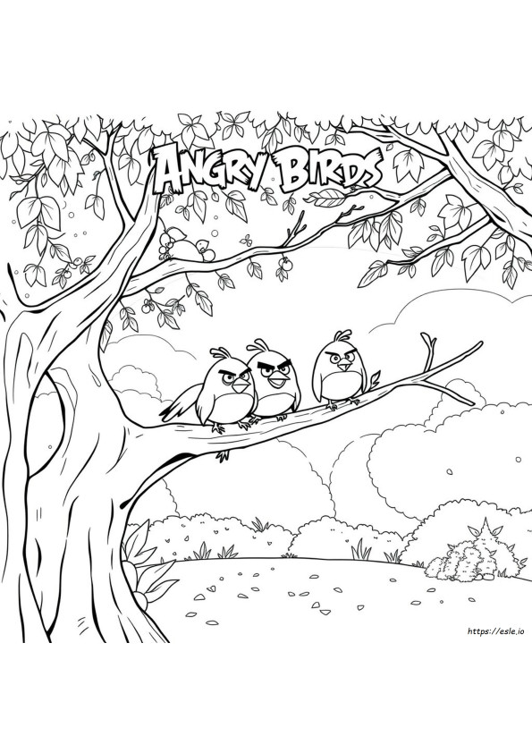 Angry Bird Ausmalbilder Pdf