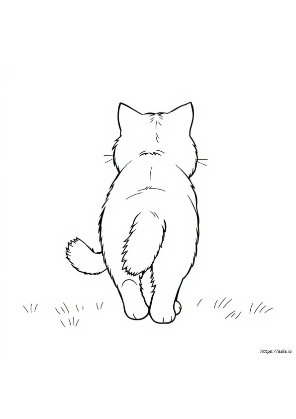 Libro Da Colorare Culo Di Gatto