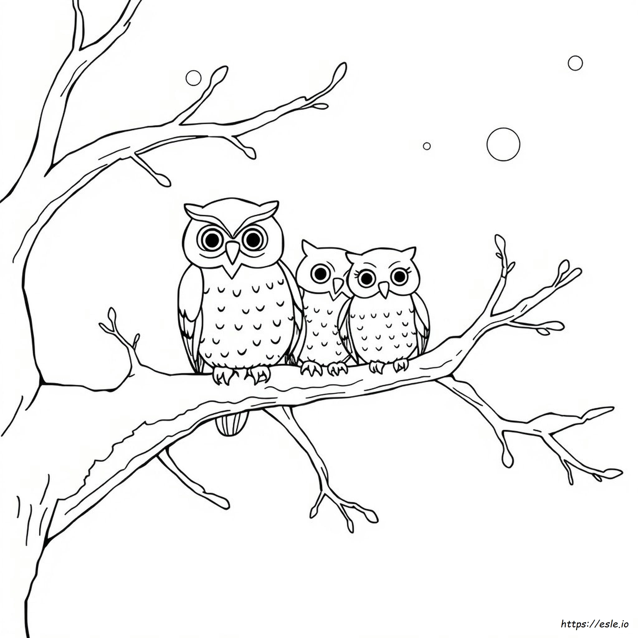 Winter Owl Coloring Page for Kids - Free Printable PDF