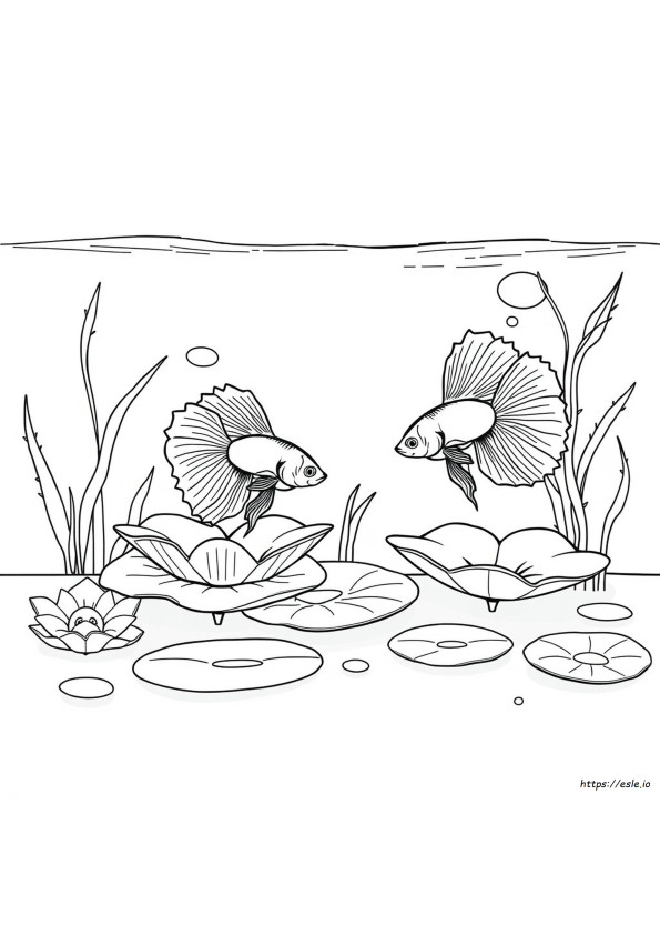 Pagina Da Colorare Stampabile Del Pesce Betta