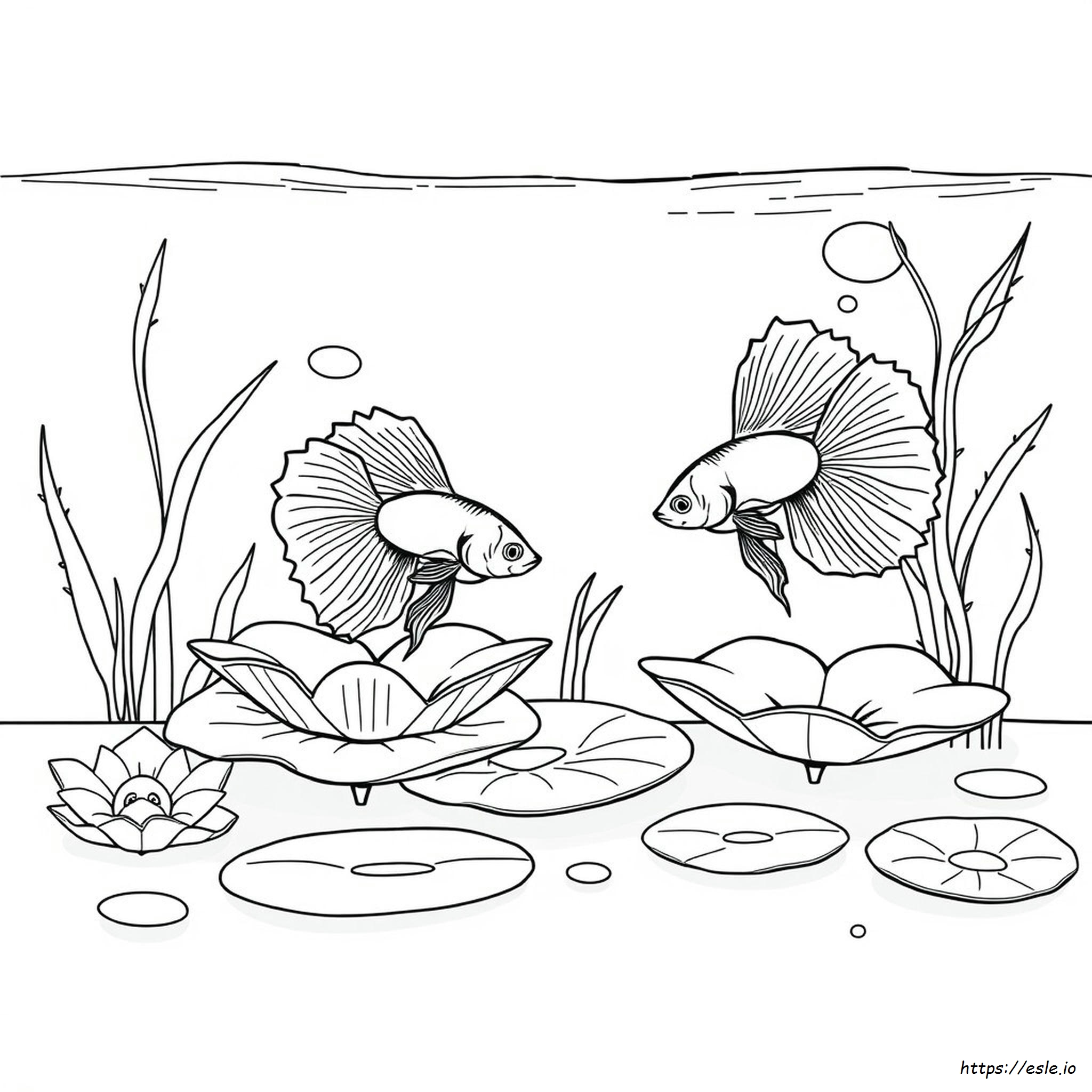 Printable Betta Fish Coloring Page