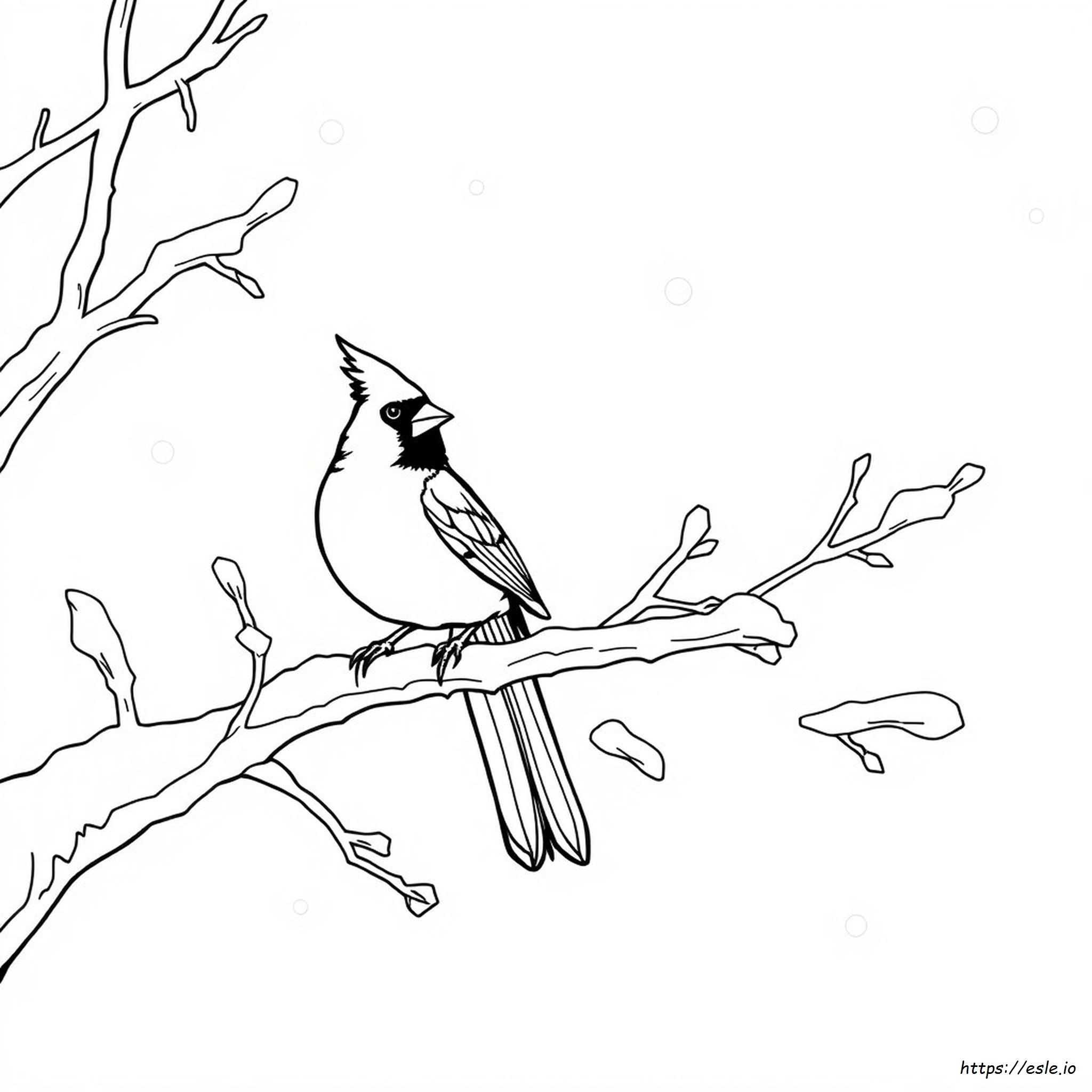 Printable Realistic Cardinal Coloring Page