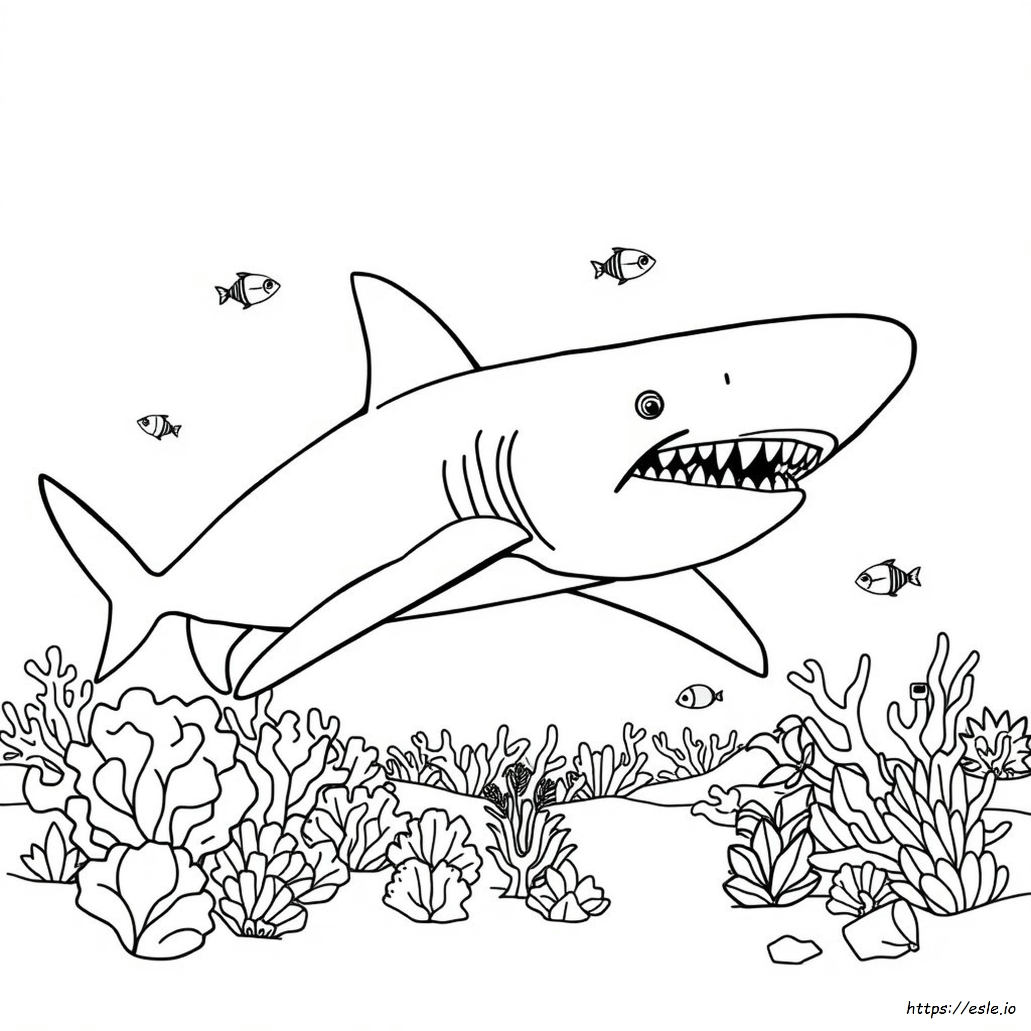 Megalodon Shark Coloring Pages