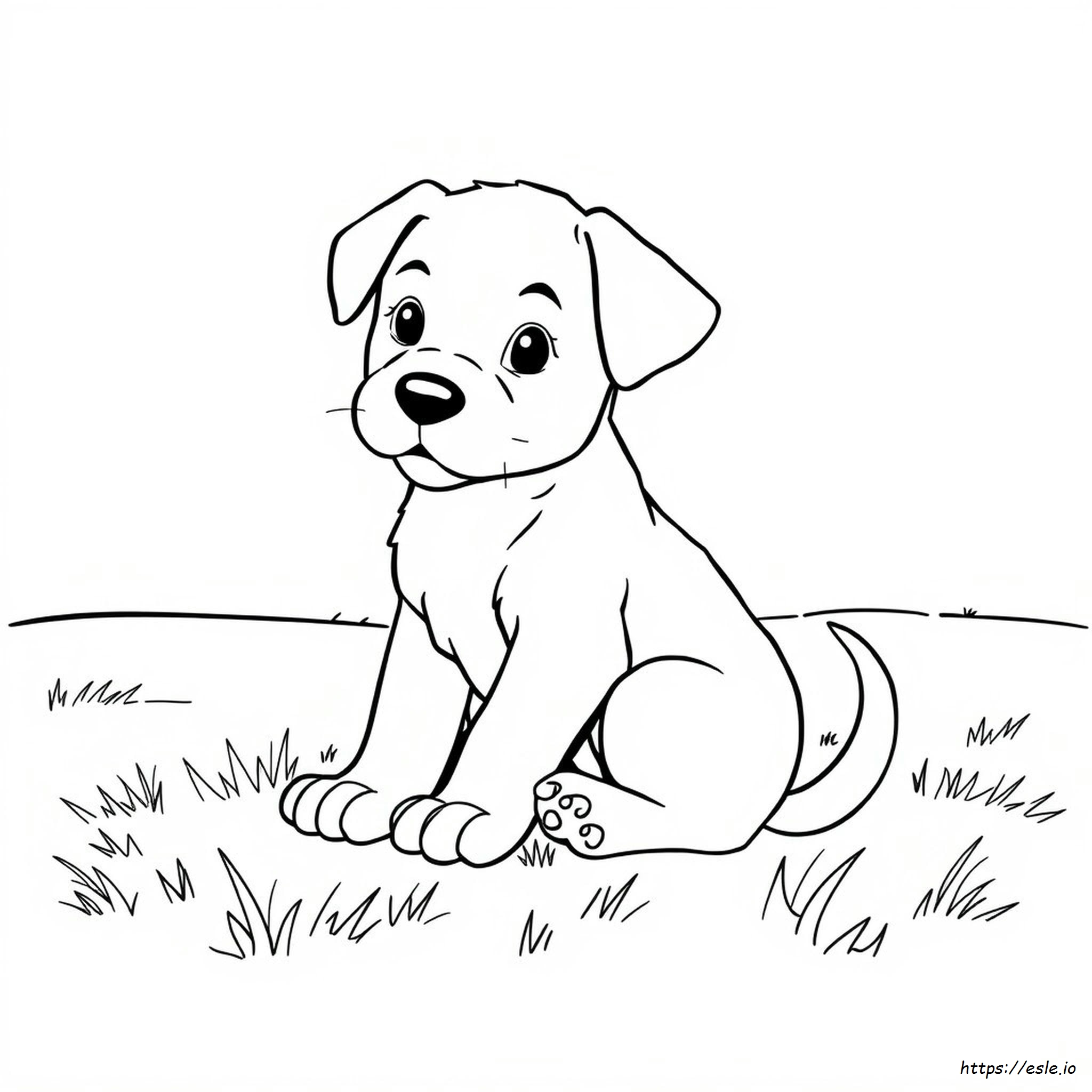 Easy Realistic Puppy Coloring Pages