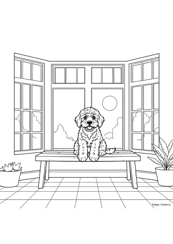 Yazdırılabilir Labradoodle Boyama Sayfaları