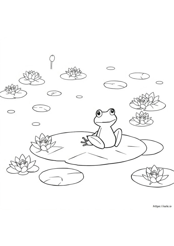 Estanque De Ranas Para Colorear