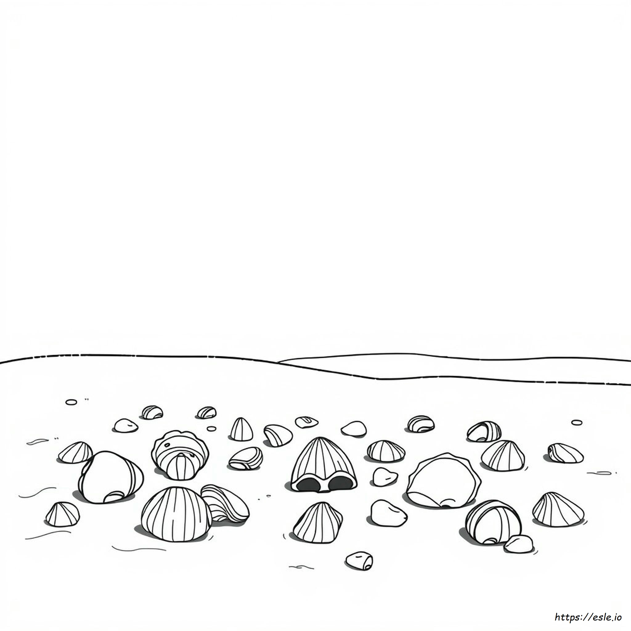 Gambar Mewarnai Kerang