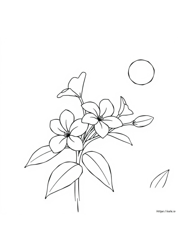 Flower Coloring Pages To Print