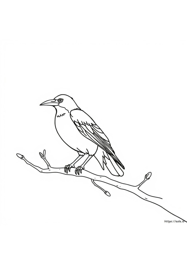 Colouring Page Of Crow