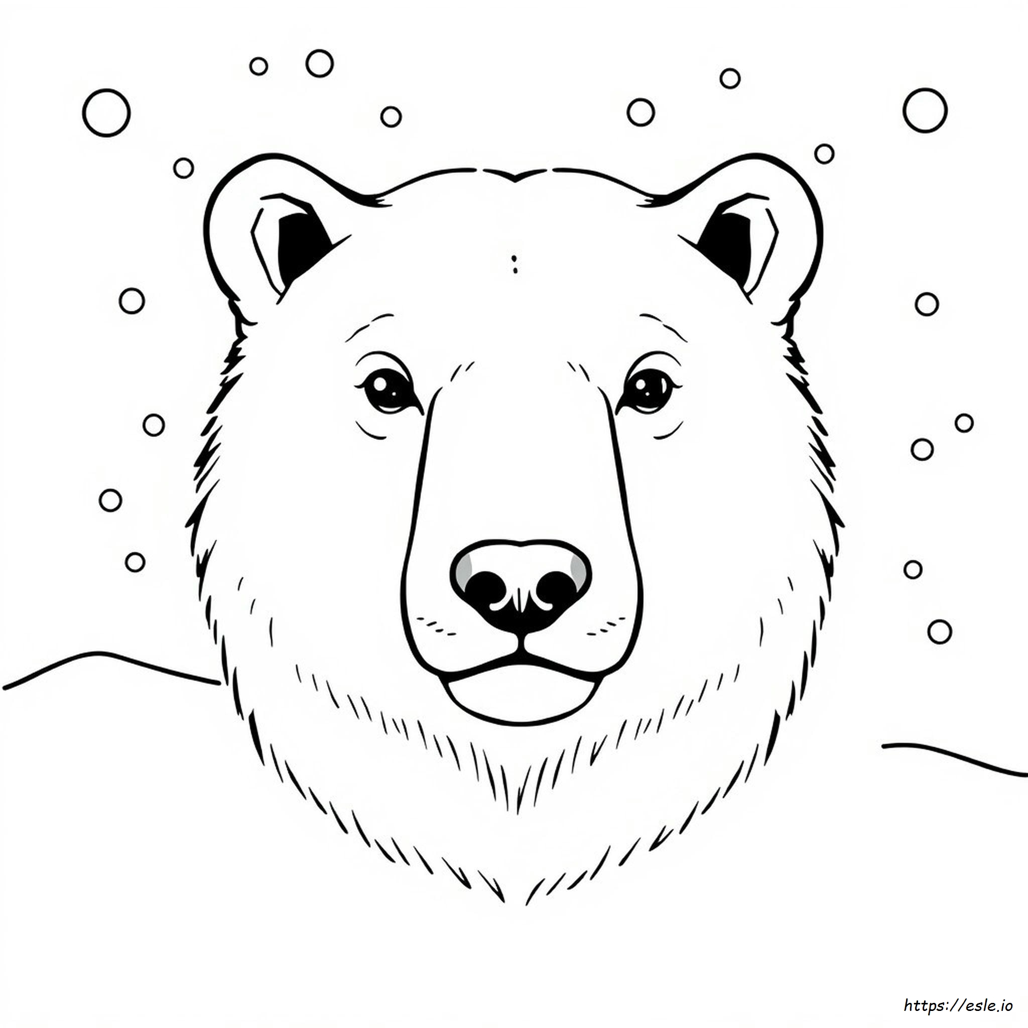 Kolorowanka Twarz Misia Polarnego