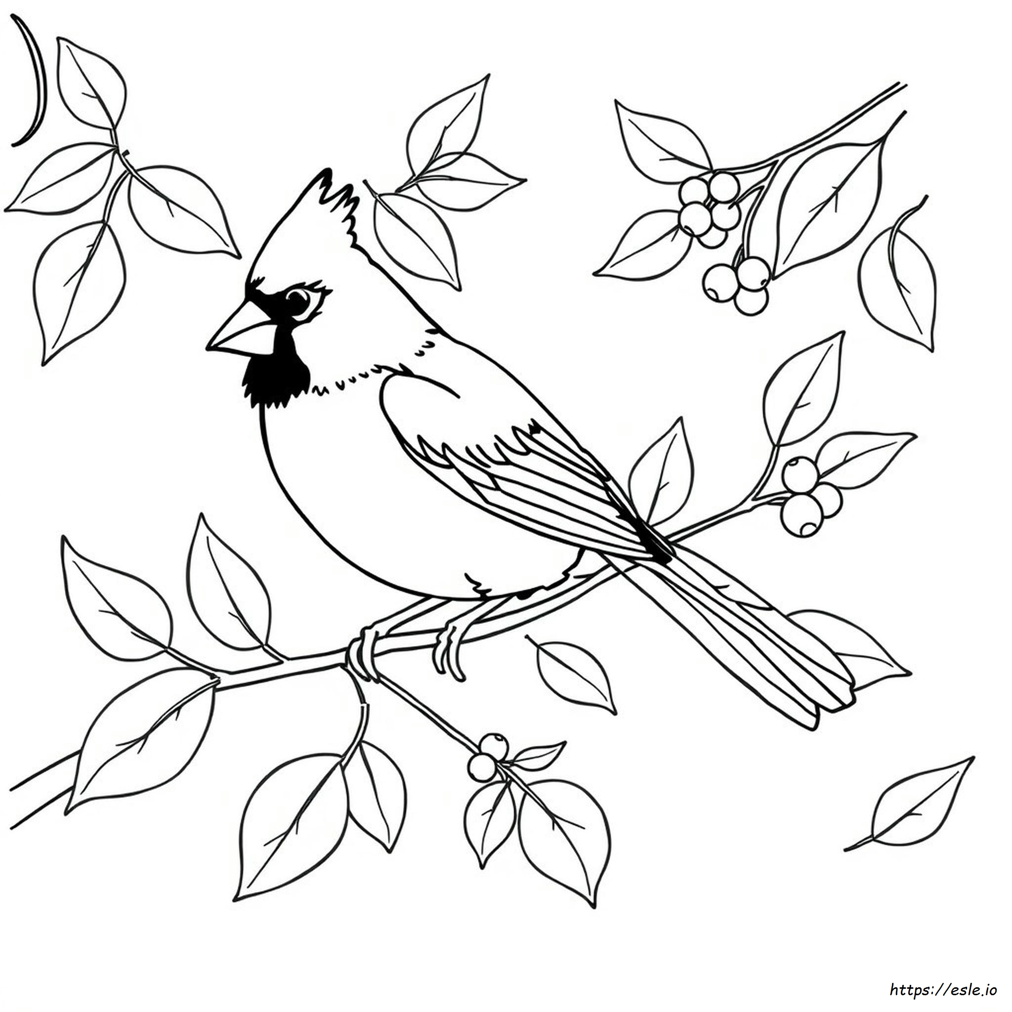 Easy Cardinal Coloring Page - Free Printable Bird