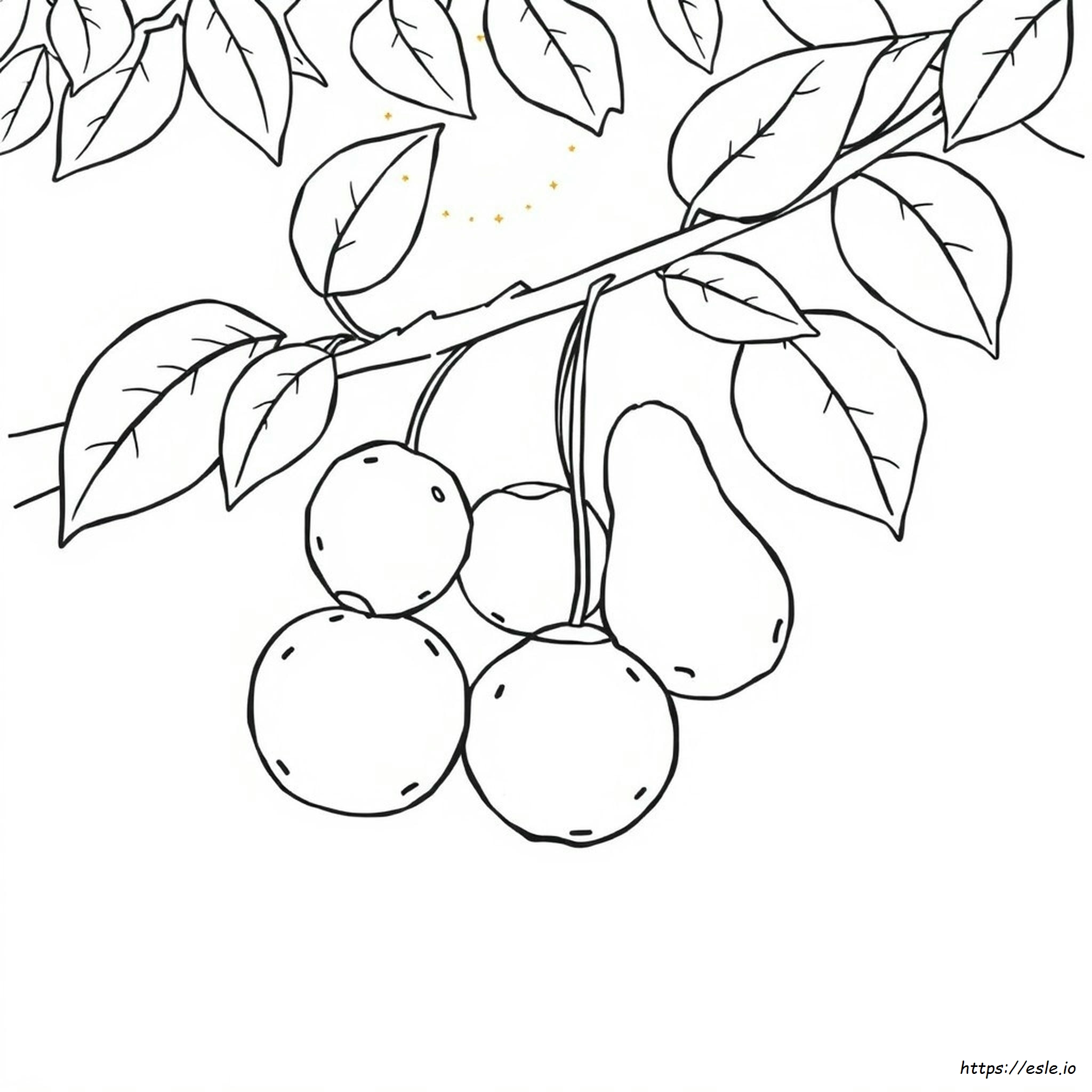 Free Printable Coloring Page - How To Colour Fruits