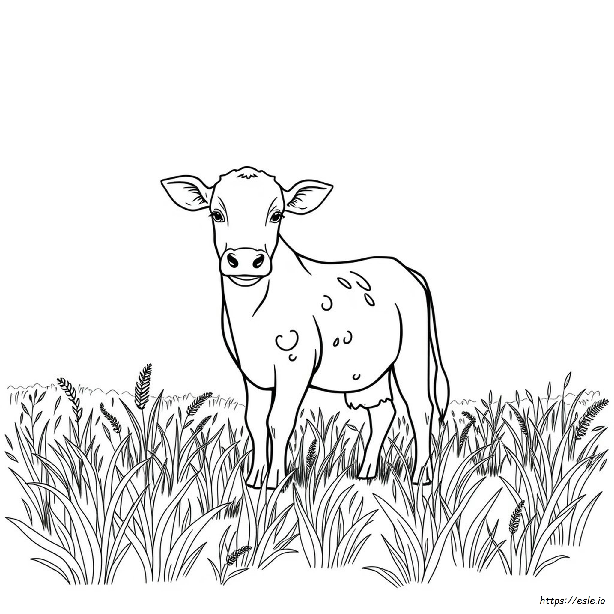 Realistic Calf Coloring Pages