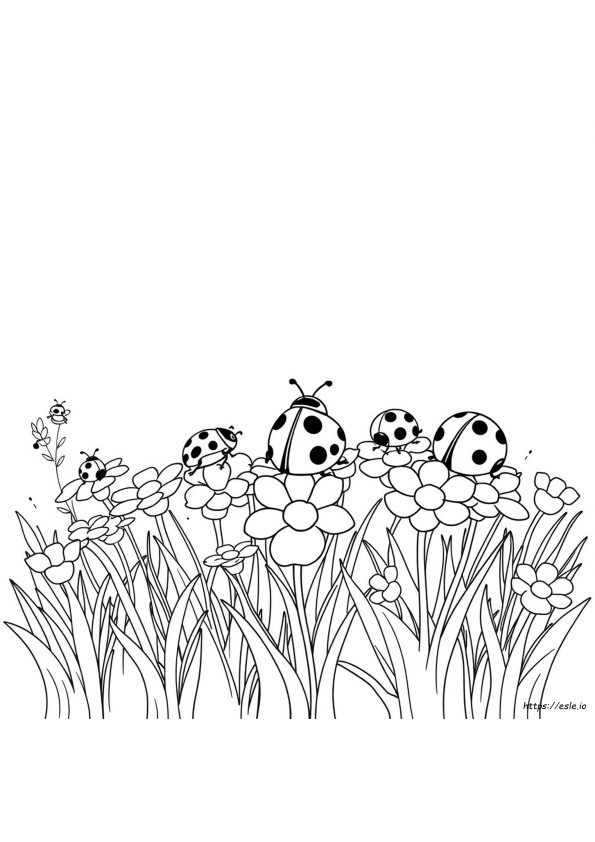 Coccinelle Di Diversi Colori Da Colorare E Stampare