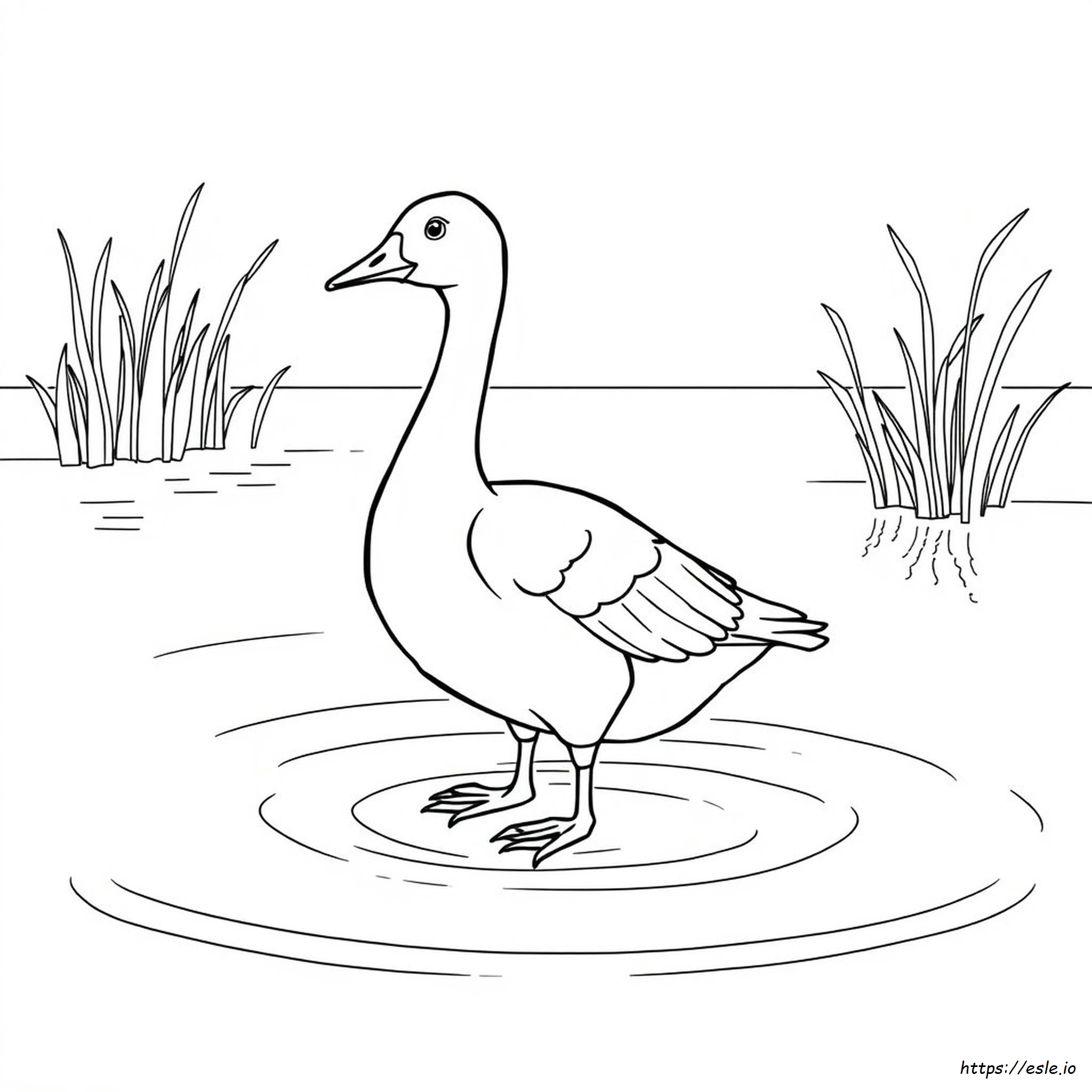 Realistic Goose Coloring Page for Kids