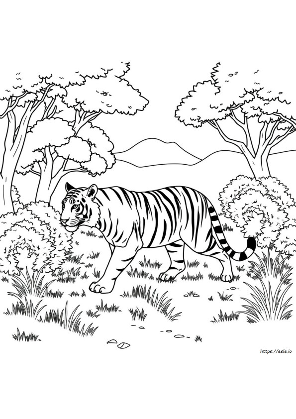 Bengals Coloring Sheets
