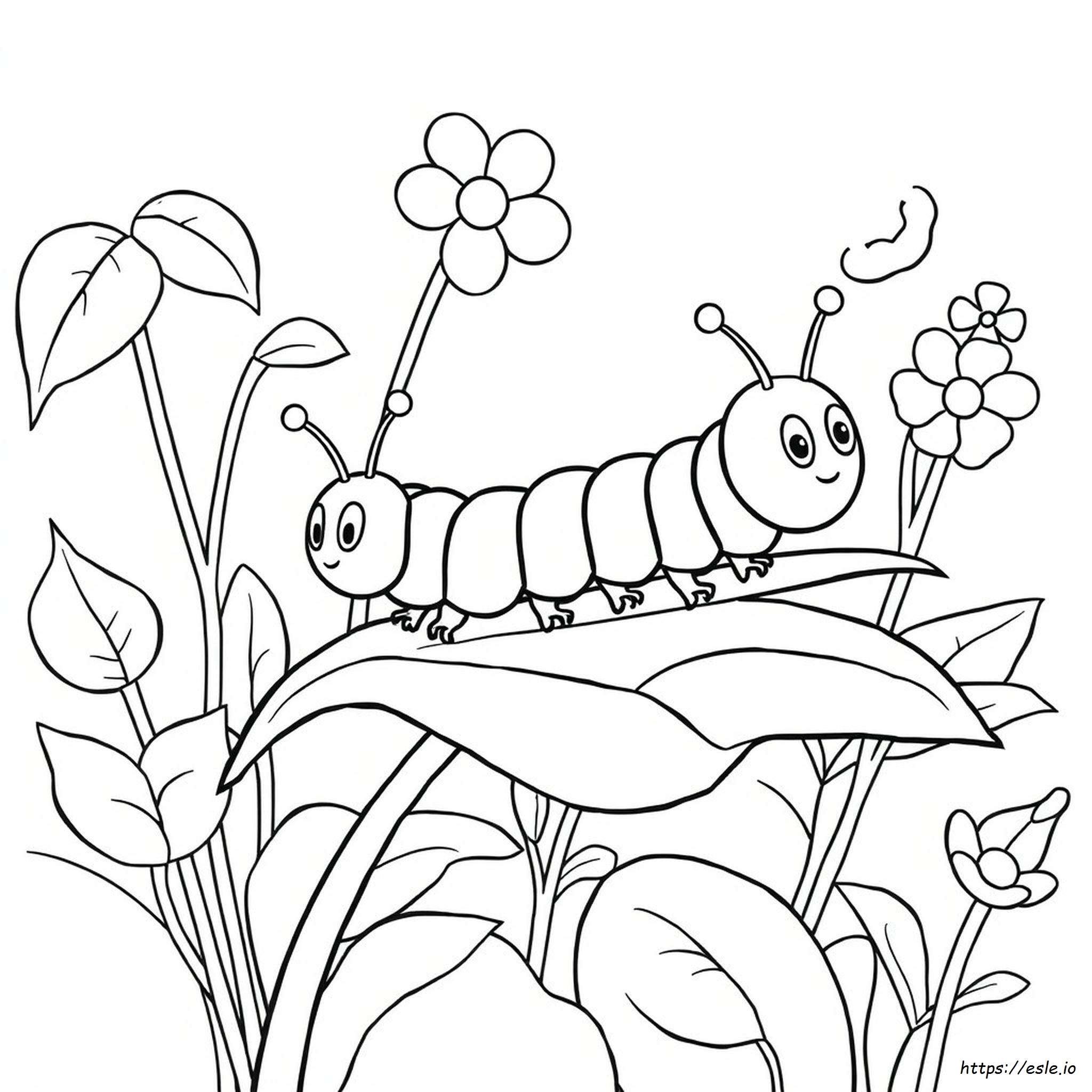 Caterpillar Colouring Images - Coloring Page