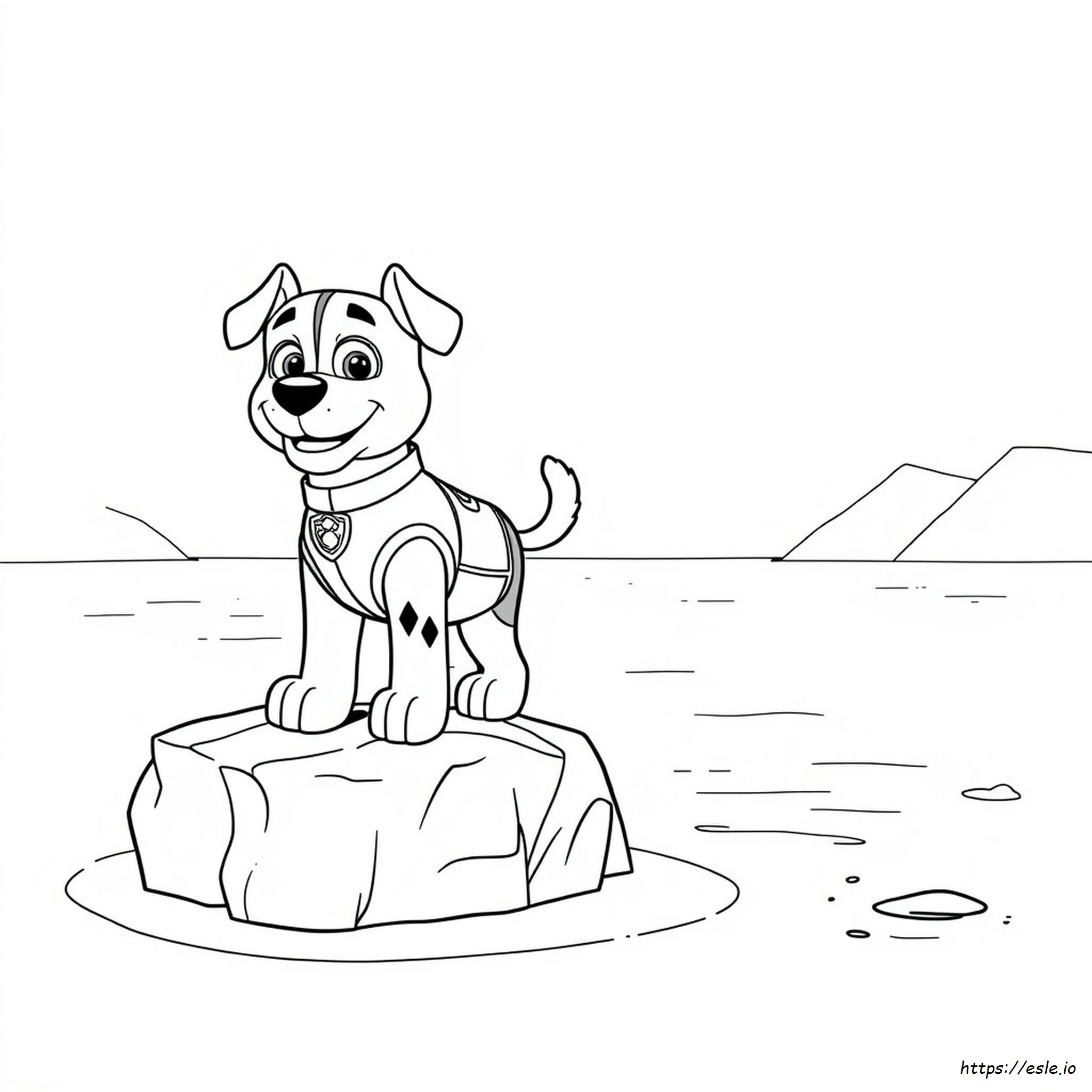 Rocky Im Wasser Paw Patrol Ausmalbild
