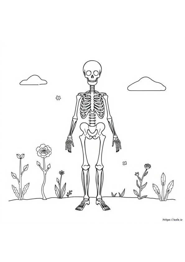 Anatomy Coloring Book Pages