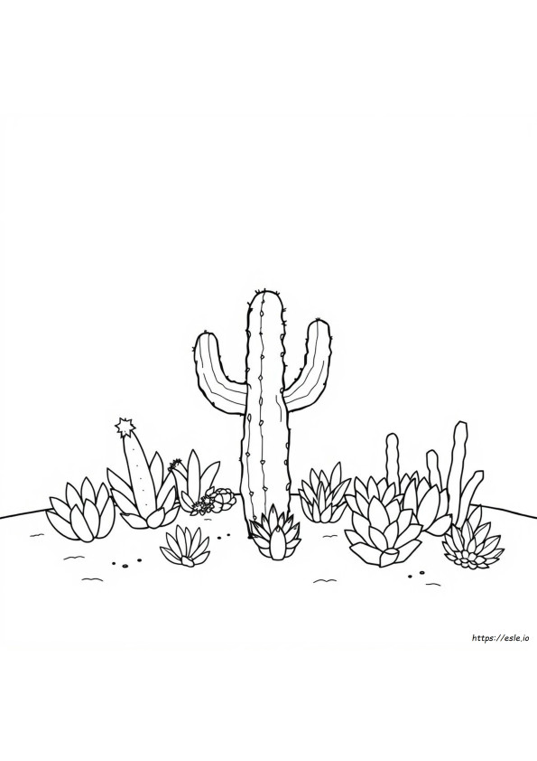 Cactus And Succulent Coloring Pages