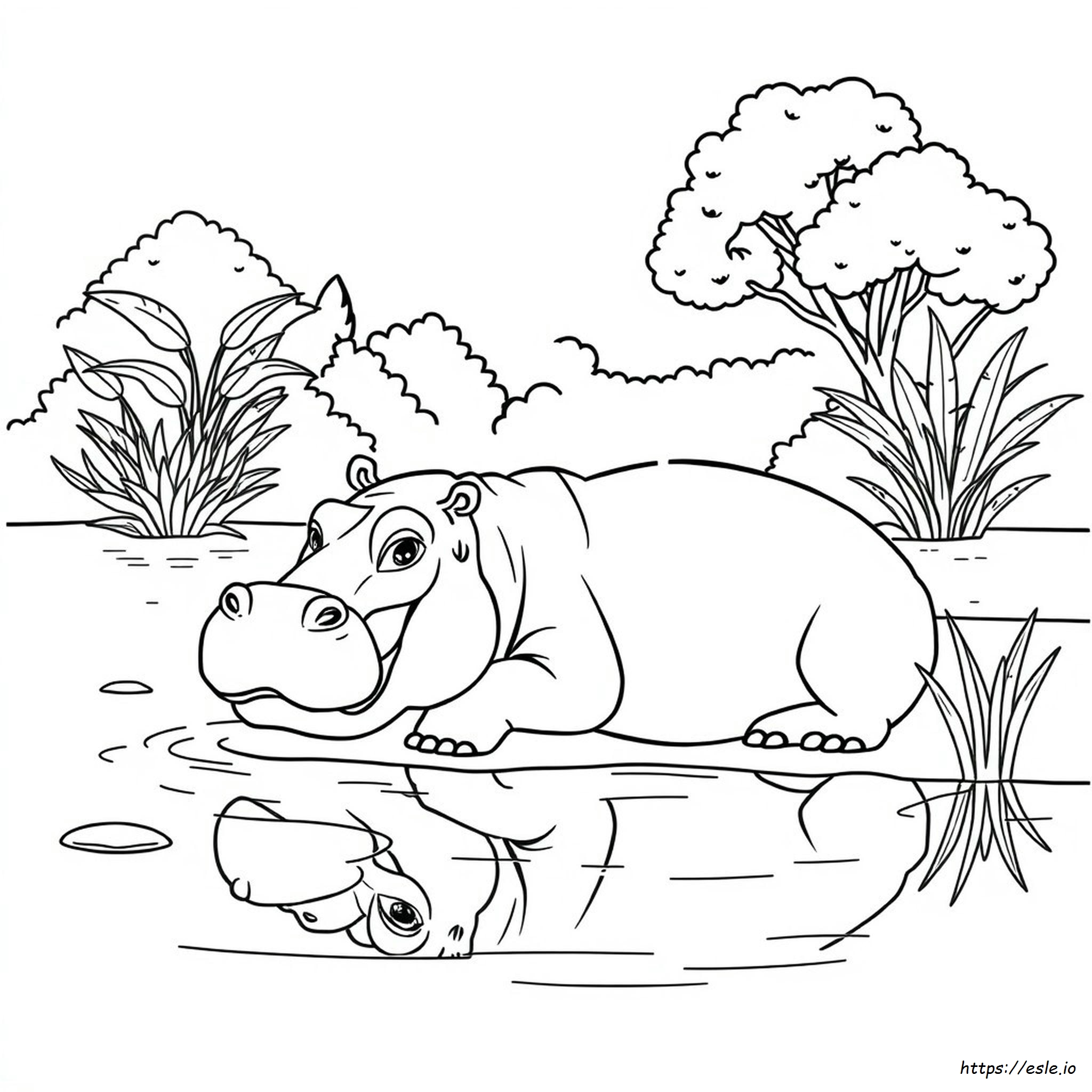Hippopotamus Colouring Page - Free Printable Coloring Pages