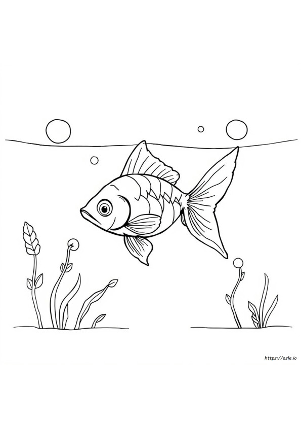 Coloriage Poisson Rouge Simple