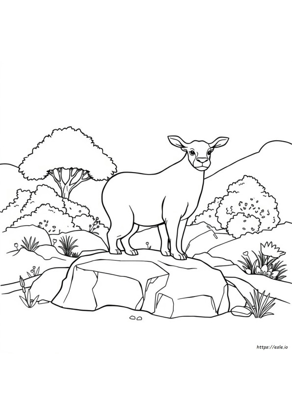 Páginas Para Colorear De Animales Para Adultos Imprimibles