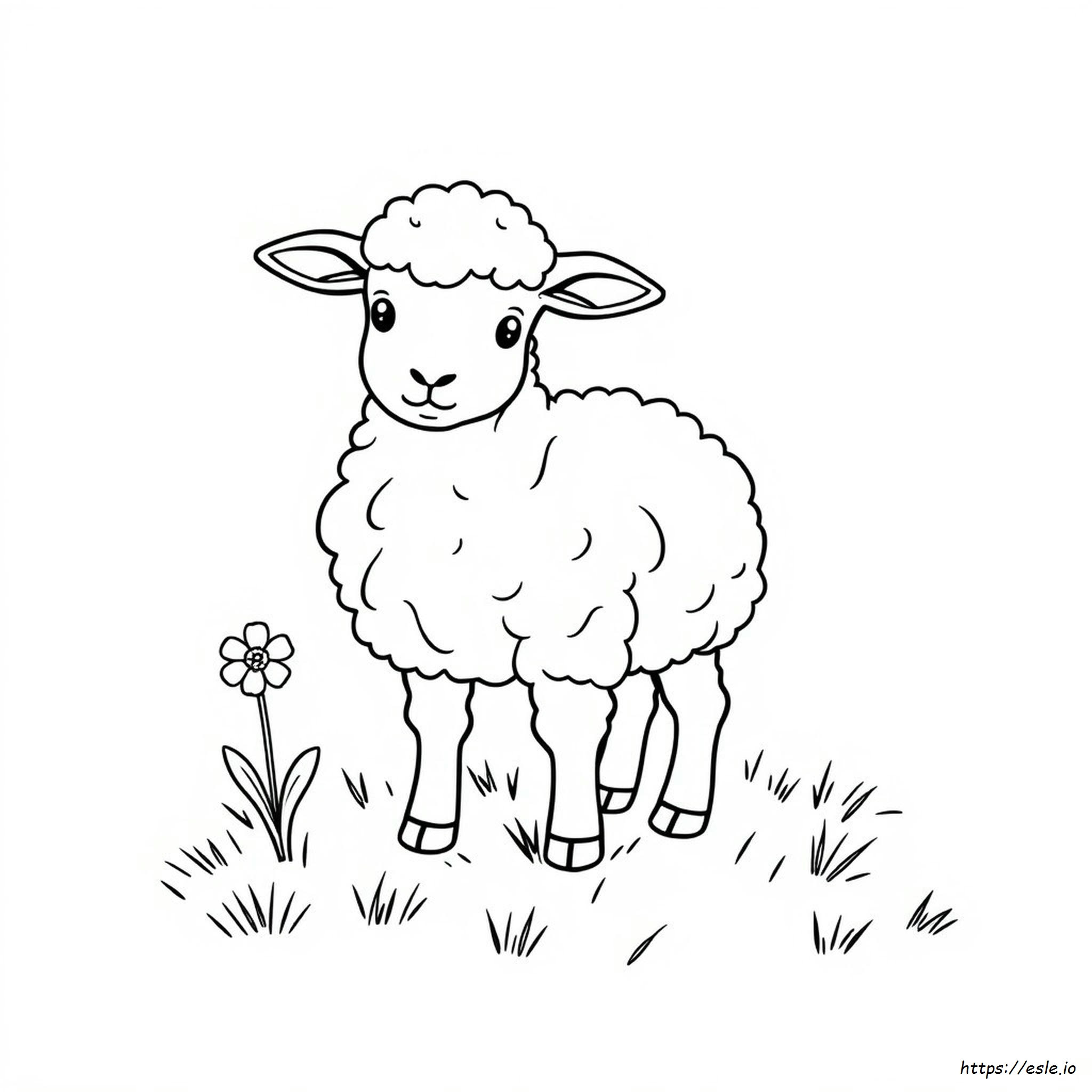 Preschool Lamb Coloring Page - Free Print